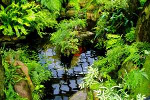 {http://www.philadelphia-reflections.com/images/Mapond.jpg}