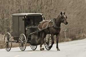 {Mennonites Buggy}