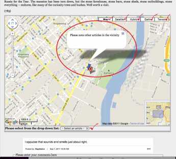 {Google Map}