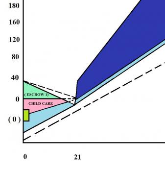 {special investment situations}