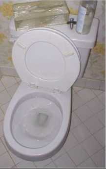 {Toilet}