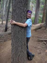 {Tree Hugger}