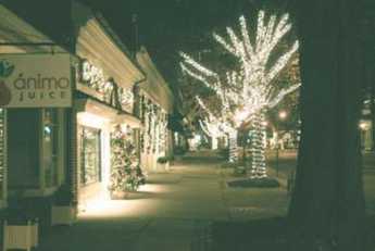 {Haddonfield Christmas Lights}